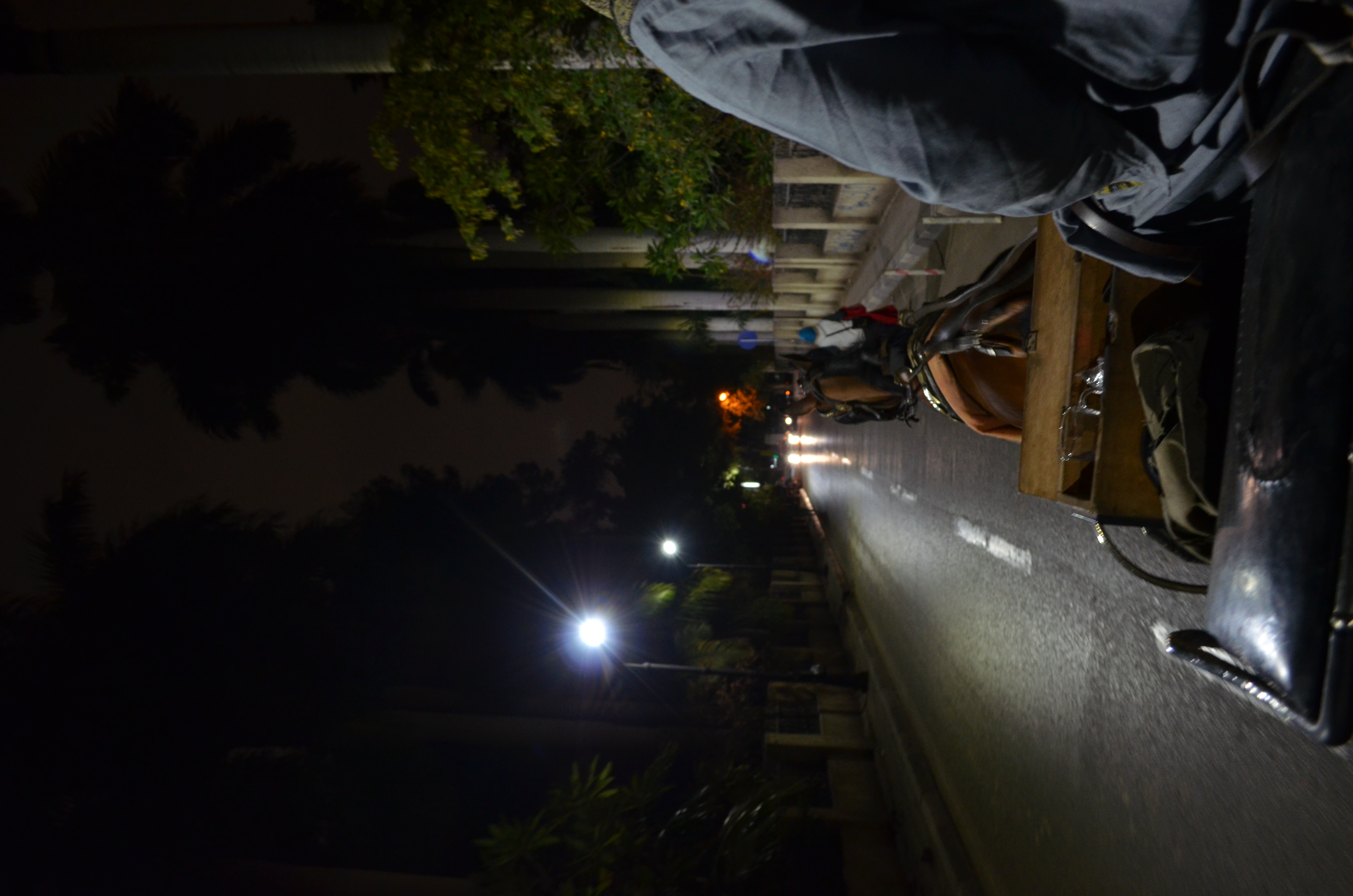 ./2018/16 - Egypt/01 - Cairo Day 2/DSC_0746.JPG